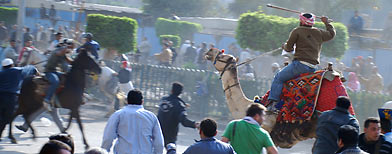 Supporters of President Mubarak, riding camels and horses, fight with anti-Mubarak protesters in Cairo. (AP/Mohammed Abou Zaid)