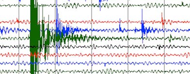 A seismic chart illustrating earthquake activity at Woolly Hollow State Park on Feb. 16. (AP/Arkansas Geological Survey)