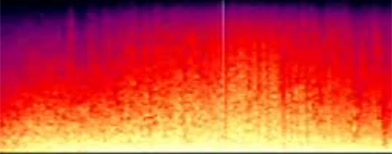 Image of spectogram from video, via LIDO