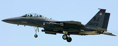 File photo of an F-15 E Strike Eagle fighter jet (AP)