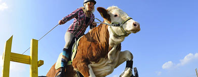 Regina Mayer jumps with her cow Luna over a hurdle in Laufen, southern Germany, on Tuesday, March 29, 2011. (AP Photo / Kerstin Joensson)