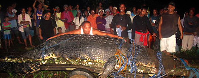 Mayor Cox Elorde of Bunawan township, Agusan del Sur Province, leans over a huge crocodile which was captured by residents in the Philippines. (AP Photo)