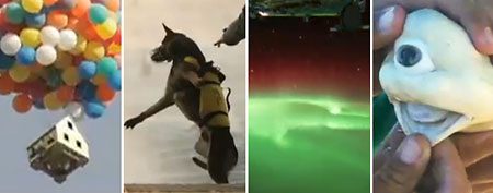 Highlights from Most Astounding Moments of 2011 (Yahoo! Studios)
