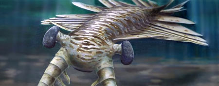 A University of Adelaide illustration shows an artist's impression of an Anomalocaris (AFP/Katrina Kenny)