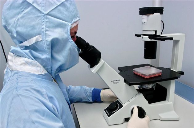 Altos niveles de vitamina D pueden proteger frente al cáncer de vejiga. En la imagen, una trabajadora observa por un microscopio. EFE/Archivo