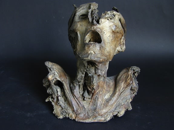 Grotesque Mummy Head Reveals Advanced Medieval Science Specimen-front-130205