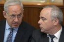 Israel's Prime Minister Netanyahu and Finance Minister Steinitz attend the weekly cabinet meeting in Jerusalem