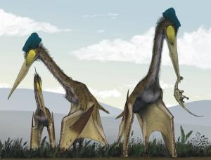 Ancient Toothless Pterosaurs Once Dominated the World's Skies