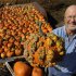 John Ackerman poses for a photo with one of his most popular pumpkins for Halloween, the "knucklehead," grown on his farm Tuesday, Oct. 9, 2012 in Morton, Ill. Unlike other farmers this year, pumpkin growers have plenty to show during the nation's worst drought in decades, and the reason is pretty simple- pumpkins do well in dry weather. (AP Photo/Seth Perlman)