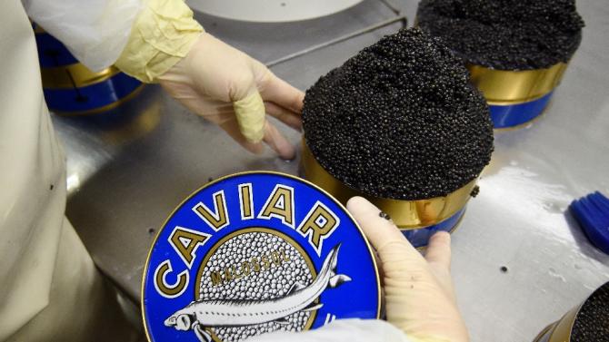 With pools 85 times the size of the nearby pitches where Rugby Calvisano plays, the company Agro Ittica Lombarda is putting this northern Italian town on the map again -- as the world&#39;s top caviar producer