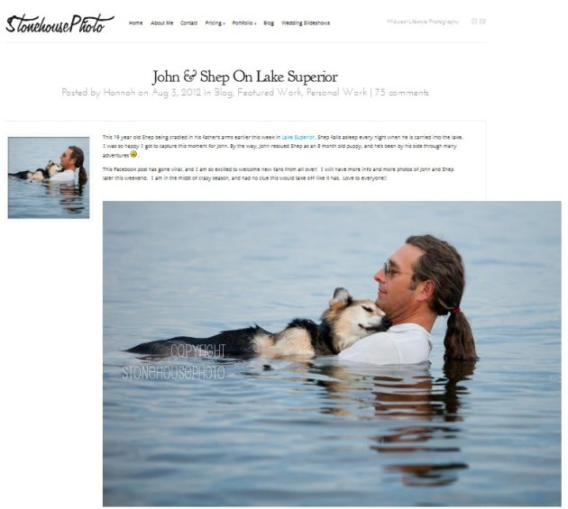 19歲老狗患關節炎　主人天天抱牠到湖中做水療