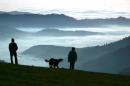 FILE - In this Nov. 13, 2005 file photo, a man and a woman walk a dog along the mountain Schauinsland near Freiburg, southern Germany, with fields of fog in the Rhine valley below. The long-debated question of where dogs first appeared has always been complex, and a new study suggests it may have two answers. Dogs arose from the domestication of wolves, and research released Thursday, June 2, 2016 by the journal Science suggests this happened twice, once in Asia and also in either Europe or the Near East. (AP Photo/Winfried Rothermel)