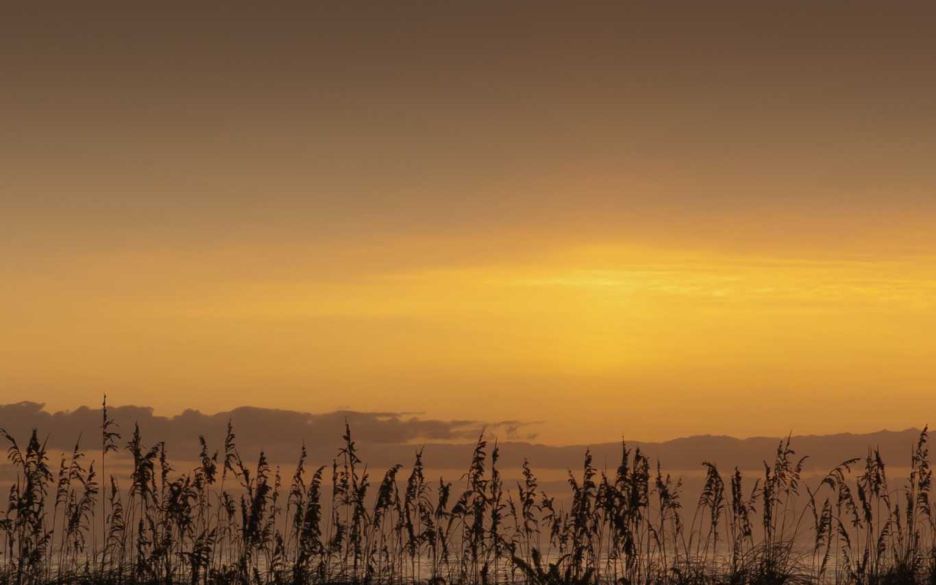 Nags Head Weather Forecasts  Maps  News  Yahoo! Weather