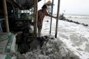 File photo shows a villager walking on a stone barrier as sea water reaches her house in Mayangan village in Subang