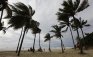 People stand under palm trees on a deserted beach at the outskirts of Havana
