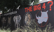 FILE - In this Friday, Jan. 18, 2013 file photo a mural painted on a suburban wall in Johannesburg, South Africa calls for the halt to rhino poaching in a bid to save the species from extinction due to killings for the rhinos horn. A U.S. firm recently gave smart phones to some game rangers in South Africa to help them track poachers who kill rhinos for their horns. The rate of poaching in South Africa _ home to most of Africa’s rhinos _ in 2013, is on track to exceed the record number of illegal kills in 2012, conservation officials say. (AP Photo/Denis Farrell, File)