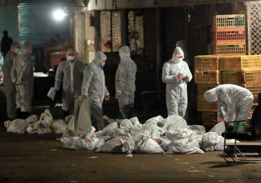 Agentes dos serviços sanitários coletam sacos com aves sacrificadas, em um mercado de Xangai