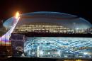 The Olympic Cauldron, left, is lit during a test between the Bolshoy Ice Dome, top, and the Iceberg Skating Palace, foreground, early Thursday morning, Feb. 6, 2014, in Sochi, Russia, prior to the start of the 2014 Winter Olympics. (AP Photo/Pavel Golovkin)