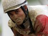 Jockey Joel Rosario gallops orb back to the paddock after the 138th Preakness Stakes horse race at Pimlico Race Course, Saturday, May 18, 2013, in Baltimore. Oxbow won the race. Orb, the Kentucky Derby winner, finished fourth. (AP Photo/Patrick Semansky)