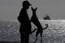 A local resident and a dog are silhouetted as a crippled freighter, left, carrying hundreds of refugees trying to migrate to Europe is towed by a Greek navy frigate at the coastal Cretan port of Ierapetra, Greece, on Thursday, Nov. 27, 2014. A smuggling ship carrying more than 700 men, women and children that broke down in gale-force winds while trying to reach Europe was towed Thursday to the Greek island of Crete. (AP Photo/Petros Giannakouris)