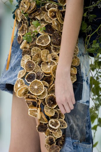 Fashion show of Plant Life 