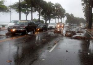 Cars drive in the rain and past fallen pieces of palm &hellip;