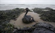 Contaminación provocada en el Mar Negro en el Puerto Kavkaz, estrecho de Kerch, entre Rusia y Ucrania, en 2007. EFE/Archivo