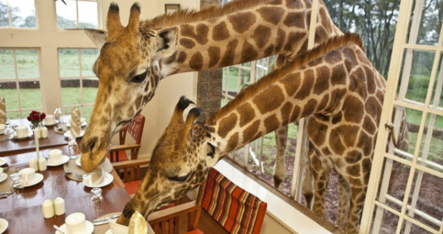 Karen Blixen Suite, Photo - Courtesy Giraffe Manor