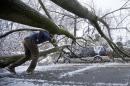 FILE - In this Feb. 5, 2014, a man inspects an ice covered downed tree that took out an utility line and landed atop a minivan, after a winter storm in Philadelphia. Utility crews aren't getting much relief from the weather as they work to restore electricity to hundreds of thousands of people in Pennsylvania and Maryland, two days after an ice storm downed power lines and toppled trees. Forecasters say that the cold weather gripping the mid-Atlantic on Friday should remain in place through the weekend, and that snow is possible. (AP Photo/Matt Rourke, File)