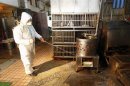 A janitor sprays disinfectant at empty chicken cages in a traditional market in New Taipei city