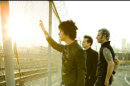 Billie Joe Rehab, Green Day Batalkan Konser