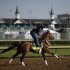 Exercise rider Jonny Garcia rides Kentucky Derby hopeful Goldencents for a workout at Churchill Downs Tuesday, April 30, 2013, in Louisville, Ky. (AP Photo/David Goldman)