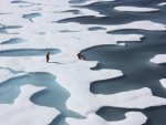 The crew of the U.S. Coast Guard Cutter Healy, in the midst of their ICESCAPE mission, retrieves supplies dropped by parachute in the Arctic Ocean