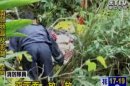 雨天山坡濕滑 老婦採竹筍跌落邊坡