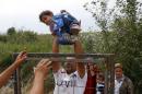 A Syrian migrant lifts a child over a fence on the Hungarian-Serbian border near Asotthalom