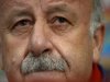 Vicente Del Bosque has been in charge of the Spain national side since 2008