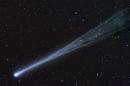 Comet ISON Gets Roasted by Sun and Vanishes, But Did It Survive?