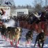 Defending Iditarod Champion Lance Mackey runs his team up the starting chute of the official start of Iditarod Trail Sled Dog Race in Willow