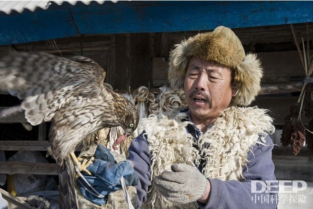 Ảnh: Bên trong 'làng chim ưng' ở Trung Quốc