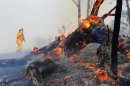 澳洲野火肆虐 數千人逃離家園 .