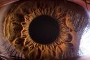 Photos: Striking close-ups of the human eye