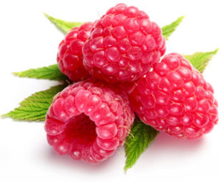 Finest weight loss information about raspberry ketone
