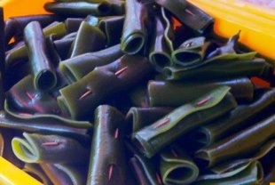 海帶含有豐富褐藻膠，不僅可促進腸道代謝毒素，還有人認為可以吸附牙齒表面的食物色素，達到牙齒美白的效果。（攝影／黃志文）