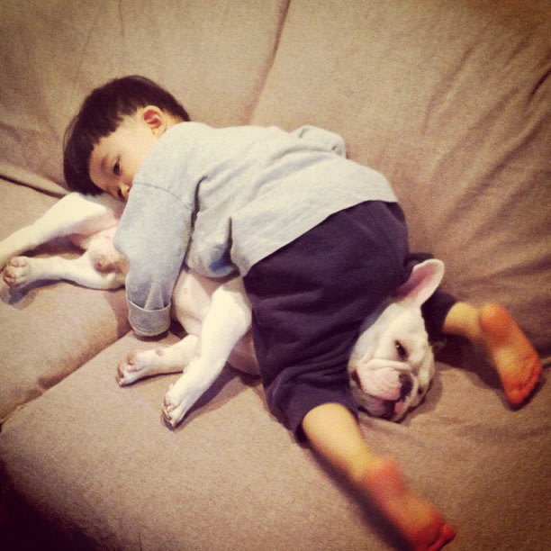 Cute Alert: Boy and His Dog Are Inseparable