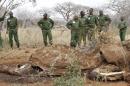 UN Warns That Growing $213 Billion Poaching Industry Funds Armed Conflicts