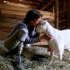 Three-Legged Goat Shares Special Bond With Rescuer