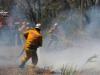Αυστραλία: Συνετρίβη αεροπλάνο στη μάχη με τις φλόγες