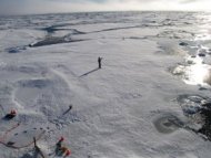 全球暖化嚴重  格陵蘭千億噸冰雪融化