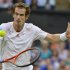 Andy Murray of Britain hits a return to Roger Federer of Switzerland in their men's singles final tennis match at the Wimbledon Tennis Championships in London