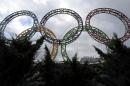 Olympic rings stand in front of the airport in Adler outside Sochi on November 30, 2013